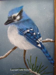 Blue Jay Acrylic e-Packet